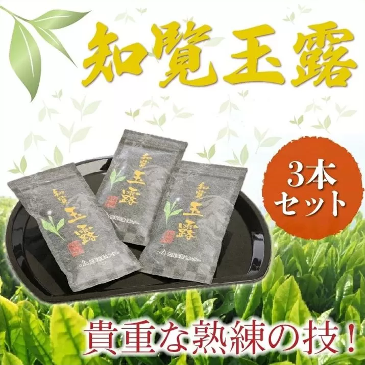 051-19 知覧玉露3本セット