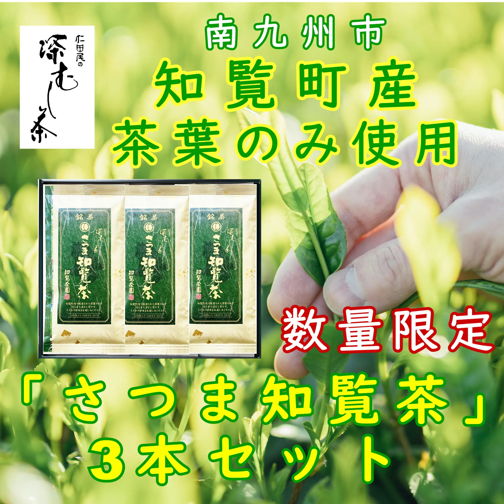 129-16 【数量限定・期間限定】【自宅用】知覧茶園の深むし茶「さつま知覧茶」知覧町産　70g×3本セット