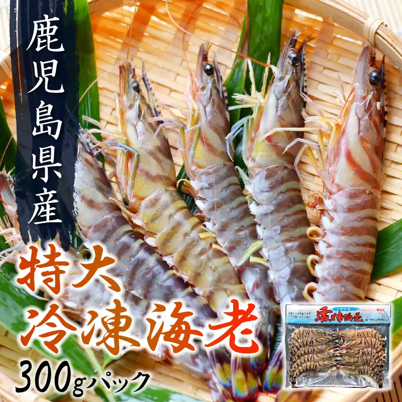 016-03 鹿児島県産特大冷凍車海老300g