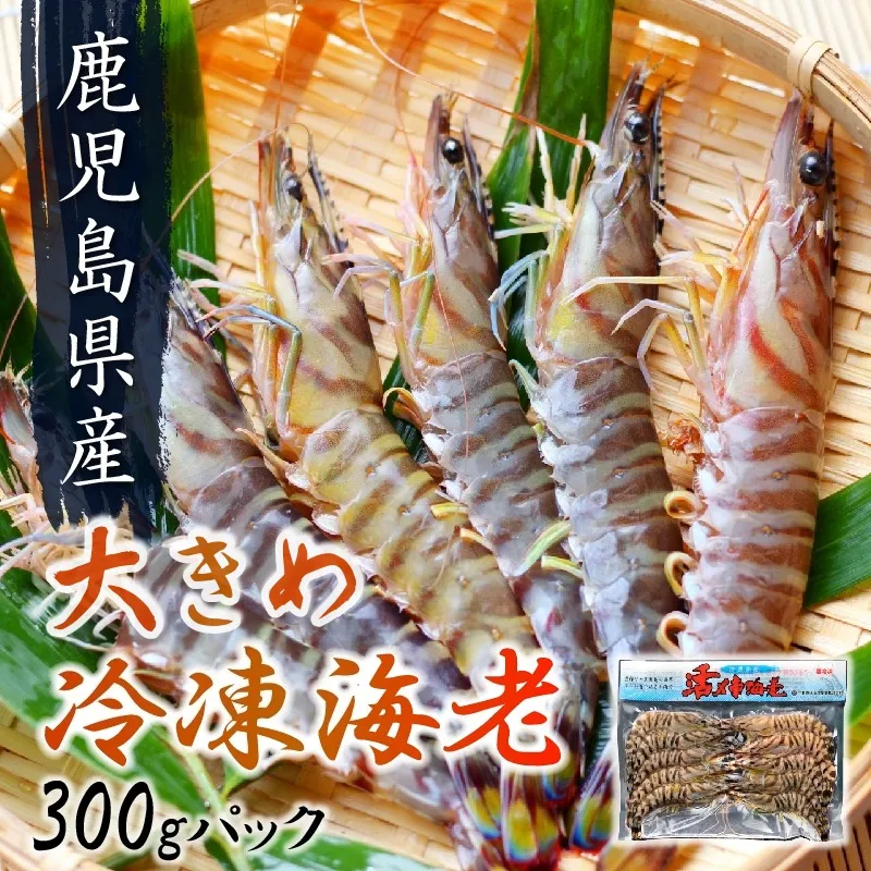 016-03 鹿児島県産大きめ冷凍車海老300g