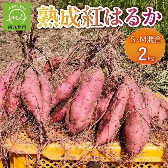 037-40 熟成紅はるか２kg