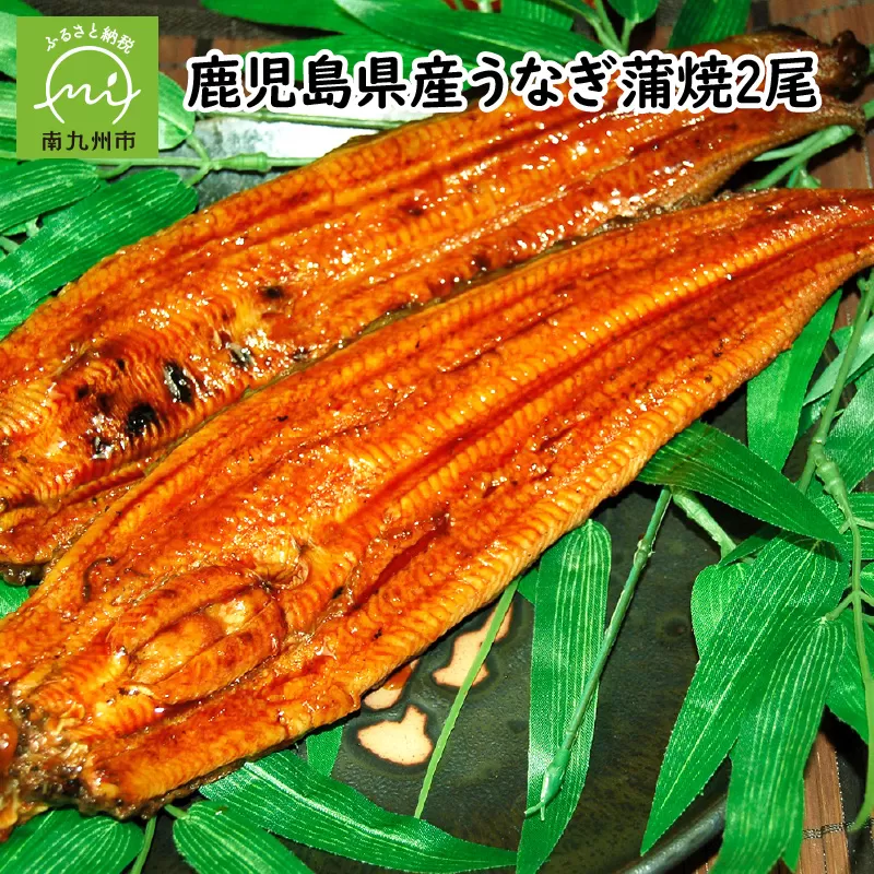 008-55 鹿児島県産うなぎ蒲焼2尾