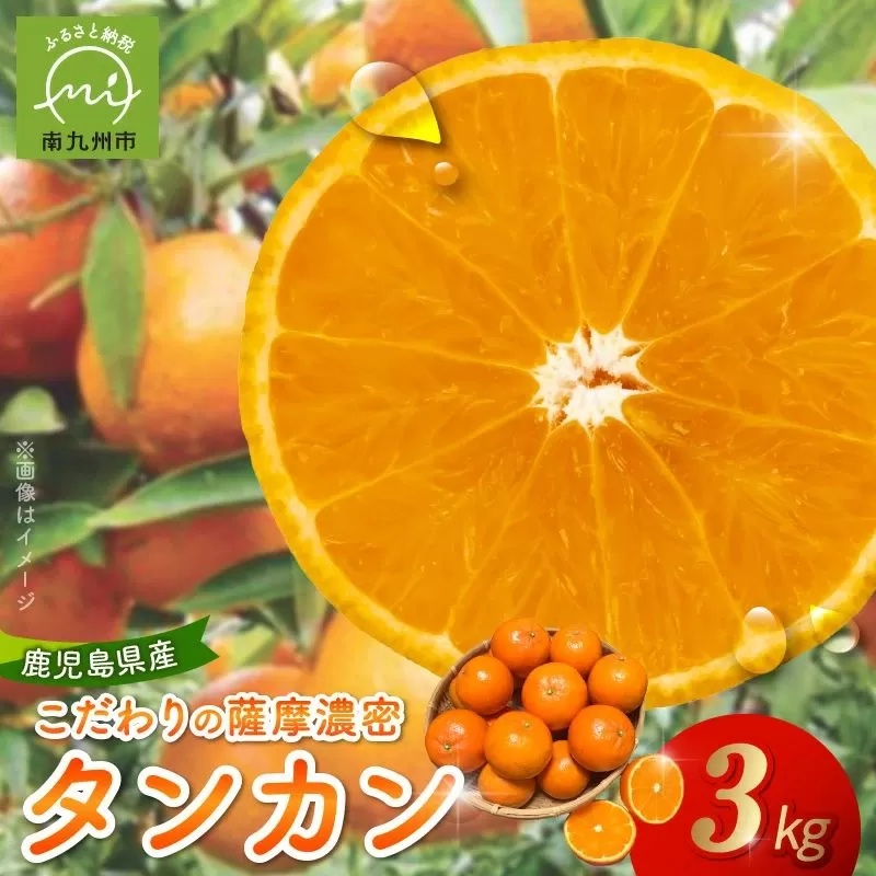002-13 こだわりの薩摩濃密タンカン3kg