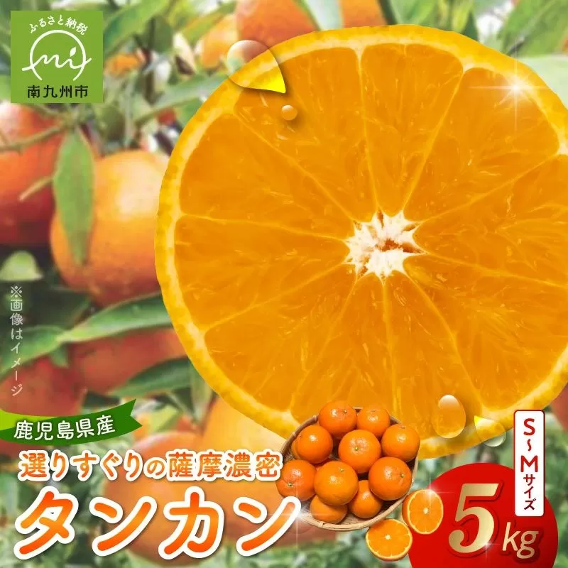 002-16 選りすぐり薩摩濃密タンカン5kg