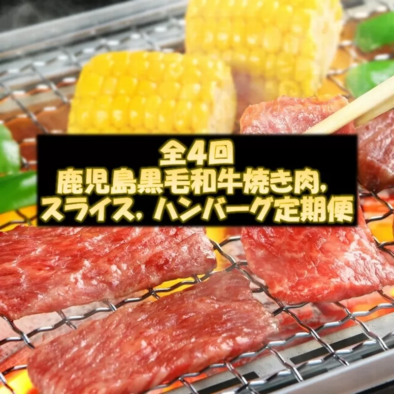 【全4回】鹿児島黒毛和牛焼き肉、スライス、ハンバーグ定期便 084-14