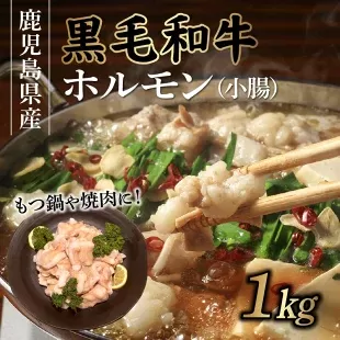 065-10 鹿児島県産黒毛和牛ホルモン(小腸)1kg