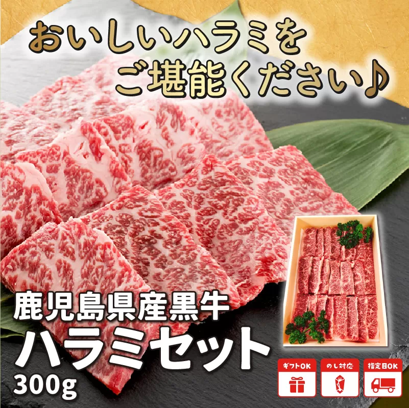 065-06 鹿児島県産黒毛和牛ハラミ300g