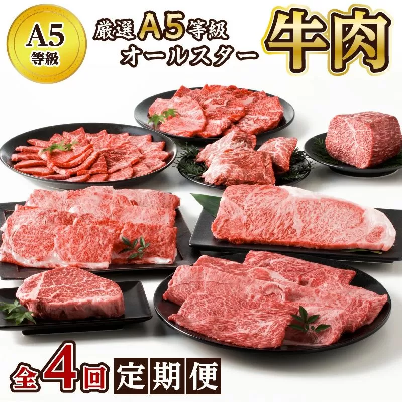【全4回】厳選A5等級オールスター牛肉定期便 076-13