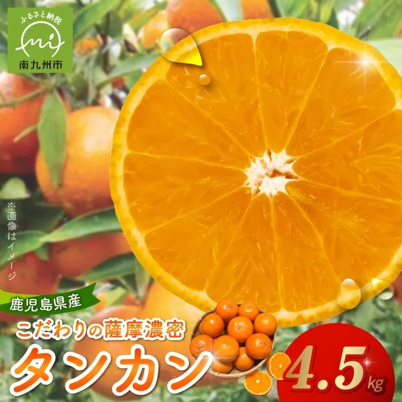 002-25 こだわりの薩摩濃密タンカン4.5kg