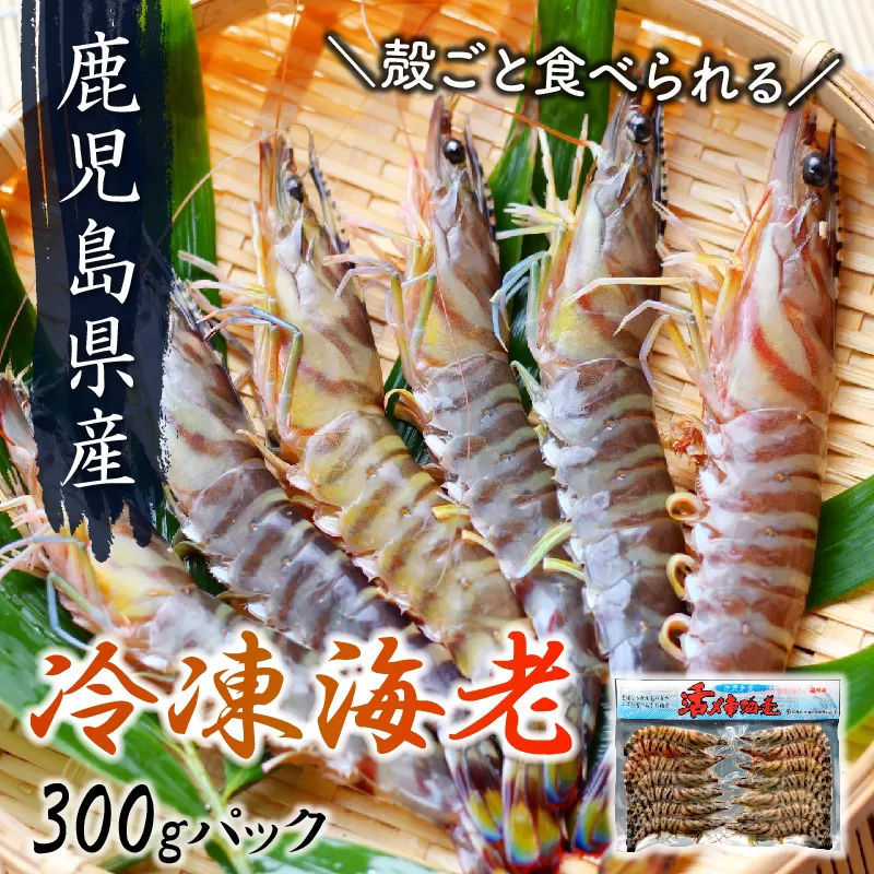 016-02 殻ごと食べられる冷凍車海老　300gパック