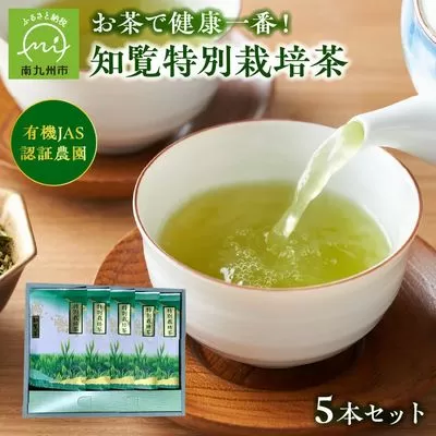 002-22 知覧特別栽培茶5袋セット