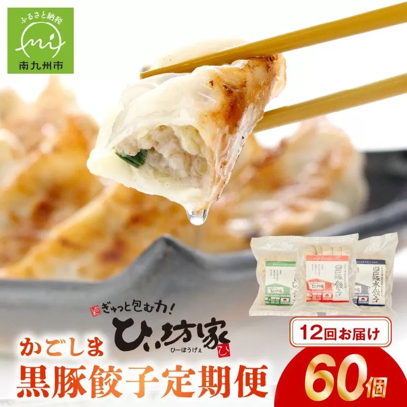 【全12回】ひぃ坊家の餃子定期便 015-20