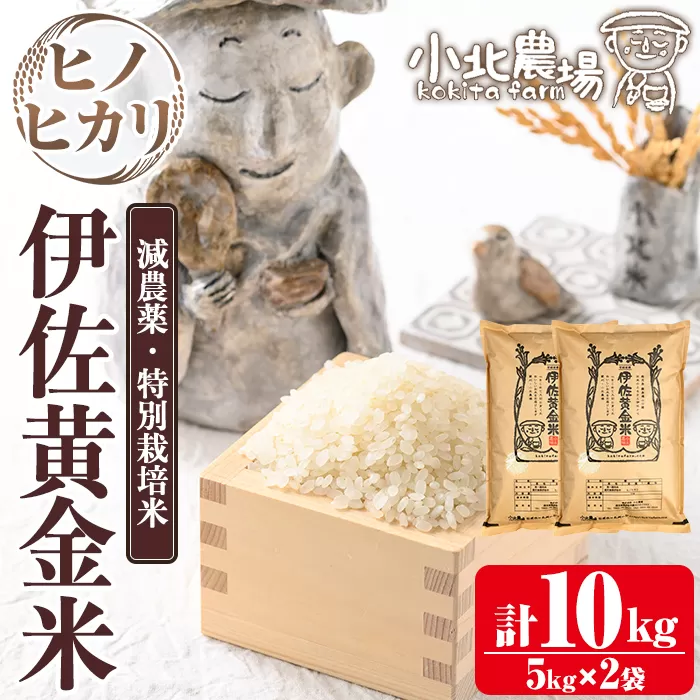 isa600 《数量限定》令和7年産 小北農場のお米 伊佐黄金米〈ヒノヒカリ〉(10kg) 鹿児島 伊佐 お米 特別栽培米 伊佐米 白米 ヒノヒカリ ひのひかり おにぎり ごはん 【小北農場】