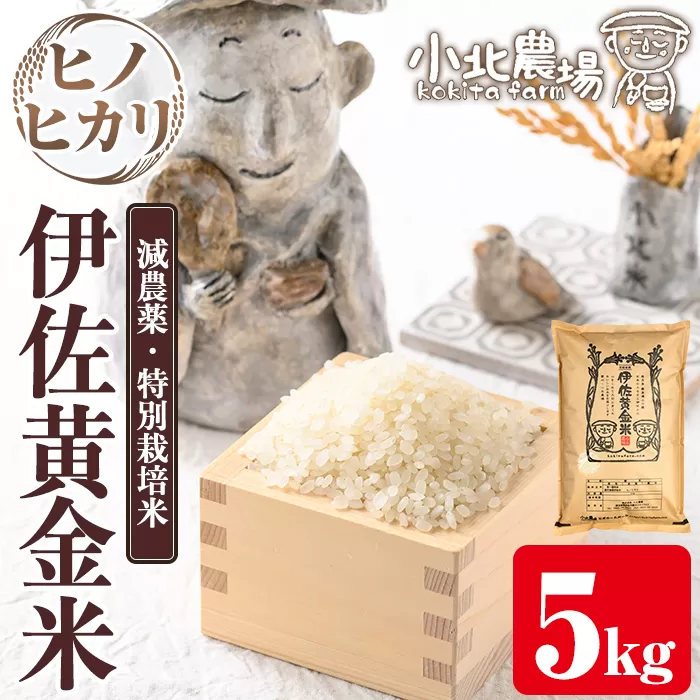 isa599 《数量限定》令和7年産 小北農場のお米 伊佐黄金米〈ヒノヒカリ〉(5kg) 鹿児島 伊佐 お米 特別栽培米 伊佐米 白米 ヒノヒカリ ひのひかり おにぎり ごはん 【小北農場】