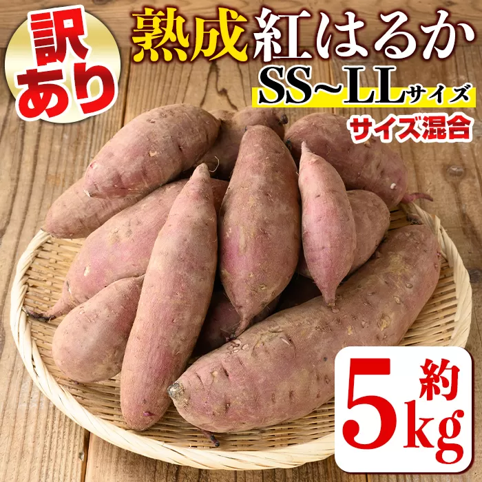 isa521 《訳あり》熟成紅はるか(約5kg・SS〜LLサイズ混合) 【いさ工房】