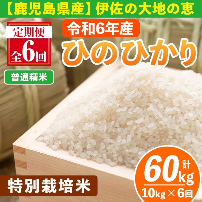 isa517-A 【定期便6回】 ＜普通精米＞令和6年産 鹿児島県伊佐産 特別栽培ひのひかり(計60kg・10kg×6ヵ月) 国産 白米 精米 伊佐米 お米 米 生産者 定期便 ひのひかり 【Farm-K】