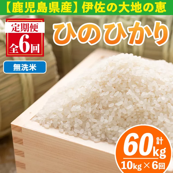 isa520-B 【定期便6回】 ＜無洗米＞令和7年産 鹿児島県伊佐南浦産ひのひかり (合計60kg・計10kg×6ヵ月) 国産 白米 精米 無洗米 伊佐米 お米 米 生産者 定期便 ひのひかり 【Farm-K】