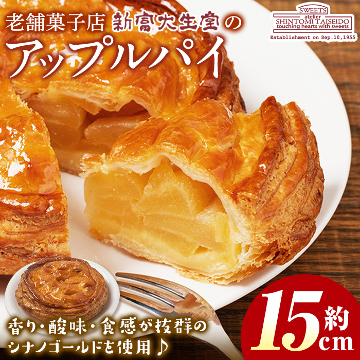 isa202 ＜期間限定・2025年5月発送分＞アップルパイ(約15cm