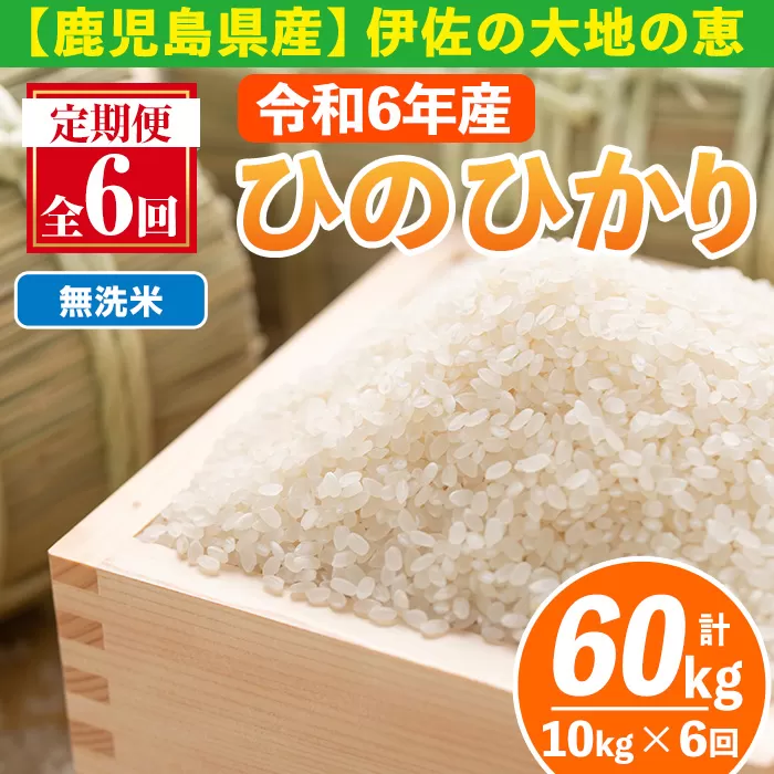 isa520-B 【定期便6回】 ＜無洗米＞令和6年産 鹿児島県伊佐南浦産ひのひかり (合計60kg・計10kg×6ヵ月) 国産 白米 精米 無洗米 伊佐米 お米 米 生産者 定期便 ひのひかり 【Farm-K】
