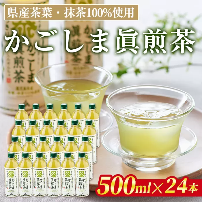 isa785 かごしま眞煎茶(500ml×24本) 鹿児島産茶葉 お茶 緑茶 茶 抹茶 PET ペットボトル 飲料 飲み物 【北さつま農業協同組合】