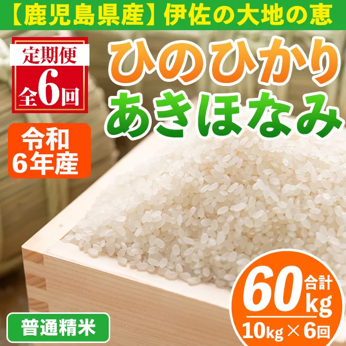 isa518-A 【定期便6回】＜普通精米＞令和6年産 鹿児島県伊佐南浦産 ひのひかり5kg・あきほなみ5kg (合計60kg・計10kg×6ヵ月) 国産 白米 精米 伊佐米 お米 米 生産者 定期便 ひのひかり あきほなみ 【Farm-K】