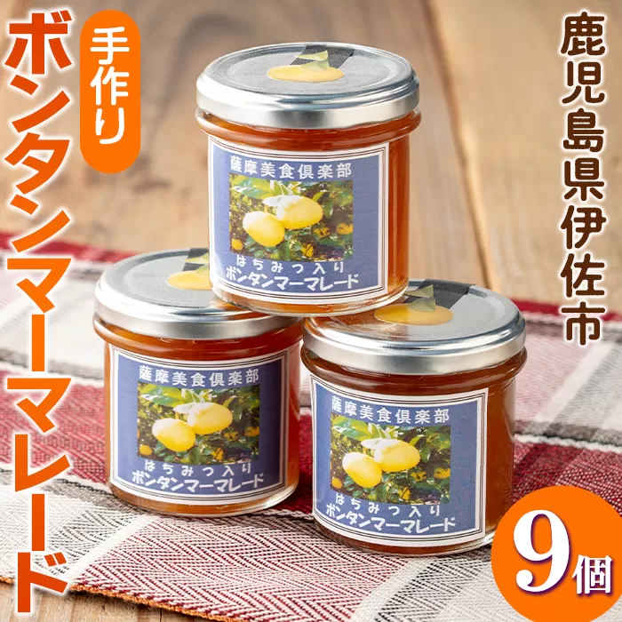 isa546 《数量限定》手作りはちみつ入りボンタンマーマレード(計9個・各140g) ふるさと納税 伊佐市 特産品 加工食品 果物 フルーツ 詰め合わせ 果肉 柑橘 低糖 ハンドメイド ジャム ギフト 【薩摩美食倶楽部】