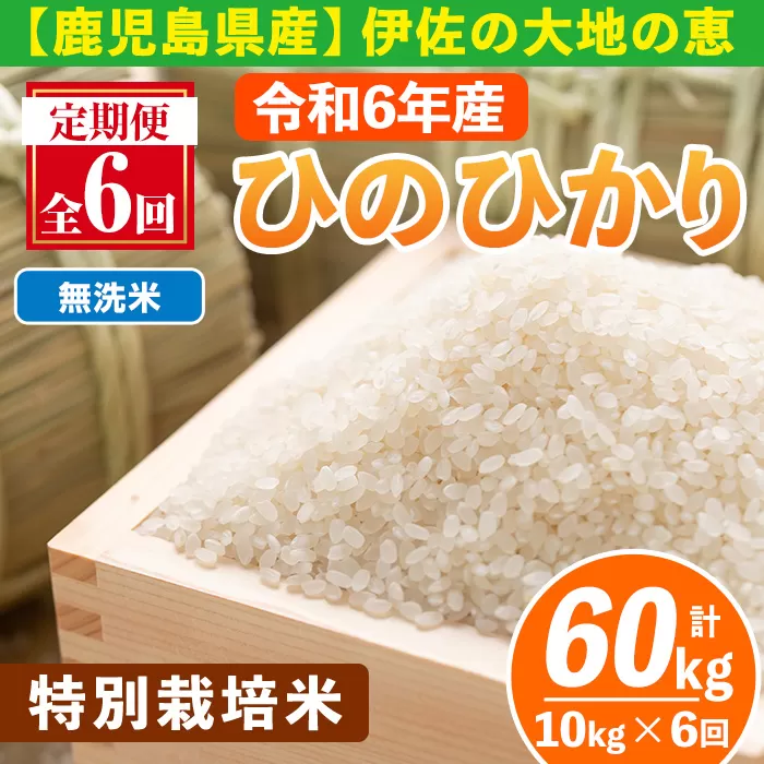 isa517-B 【定期便6回】 ＜無洗米＞令和6年産 鹿児島県伊佐産 特別栽培ひのひかり(計60kg・10kg×6ヵ月) 国産 白米 精米 無洗米 伊佐米 お米 米 生産者 定期便 ひのひかり 【Farm-K】