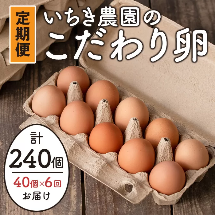 isa542 【定期便】いちき農園のこだわり卵(計240個・40個×6カ月) 【いちき農園】