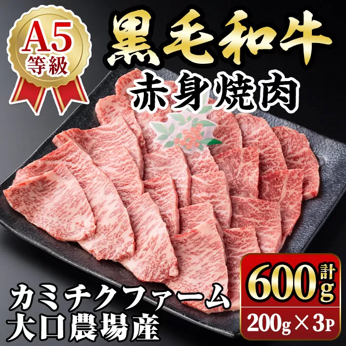isa691 鹿児島県(カミチクファーム 大口農場)産 黒毛和牛赤身焼肉(計600g・200g×3パック) 黒毛和牛 赤身 焼肉 和牛 国産牛 高級肉 A5 ランク 雌牛 牛肉 焼肉用 BBQ バーベキュー アウトドア キャンプ  高タンパク 冷凍 小分け 【お肉の直売所 伊佐店】