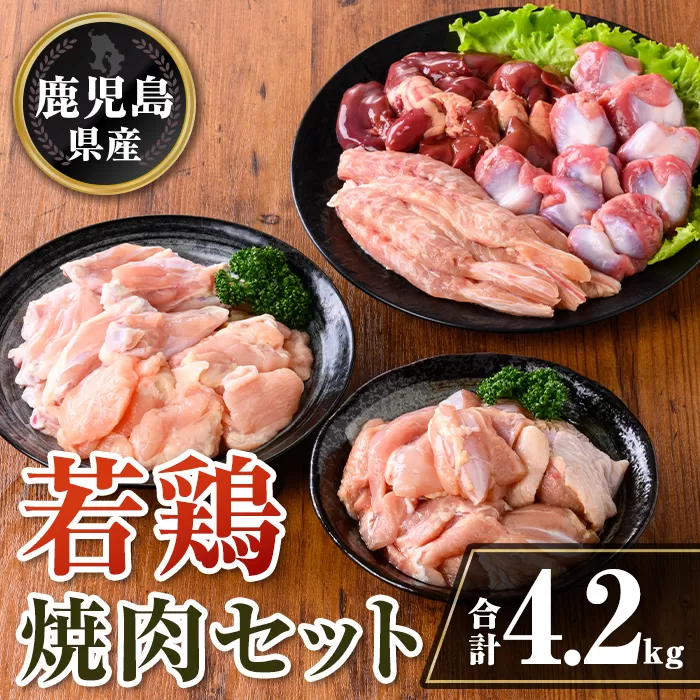 isa726 鹿児島県産 若鶏焼肉セット (合計4.2kg) 鹿児島県産 小分け 真空パック 鶏肉 鳥肉 もも肉 モモ肉 砂肝 肝 手羽中 肩肉 小肉 焼き肉 焼肉 セット 詰め合わせ 冷凍 【TRINITY】