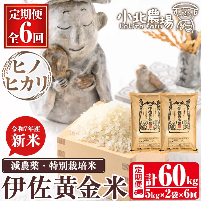 isa792 《数量限定・6回定期便》令和7年産 小北農場の新米 伊佐黄金米〈ヒノヒカリ〉(計60kg・5kg×2袋×6回) 鹿児島 伊佐 新米 お米 60kg 定期便 6回 特別栽培米 伊佐米 白米 ヒノヒカリ ひのひかり おにぎり ごはん  【小北農場】