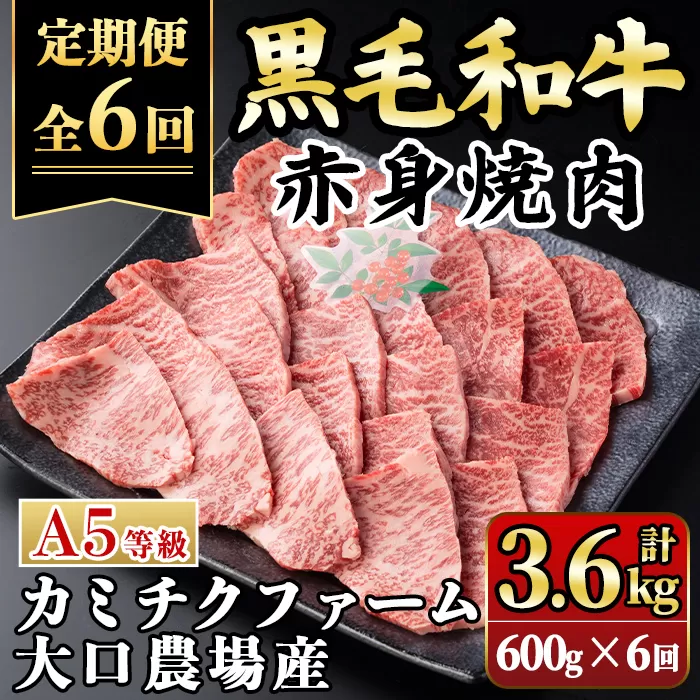 isa849 【定期便6回】鹿児島県(カミチクファーム 大口農場)産 黒毛和牛赤身焼肉(計3.6kg) 黒毛和牛 赤身 焼肉 和牛 国産牛 高級肉 A5 ランク 雌牛 牛肉 焼肉用 BBQ バーベキュー アウトドア キャンプ 高タンパク 冷凍 小分け 【お肉の直売所 伊佐店】