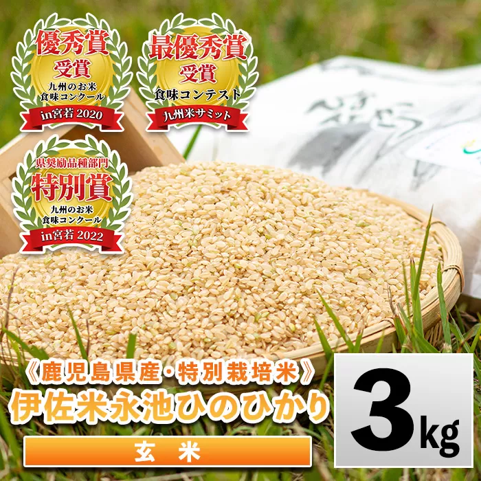 isa535 令和6年産 特別栽培米 永池ひのひかり玄米(3kg) 鹿児島 永池 お米 米 玄米 伊佐米 九州米サミット 食味コンテスト 最優秀賞受賞 ヒノヒカリ 【エコファーム永池】