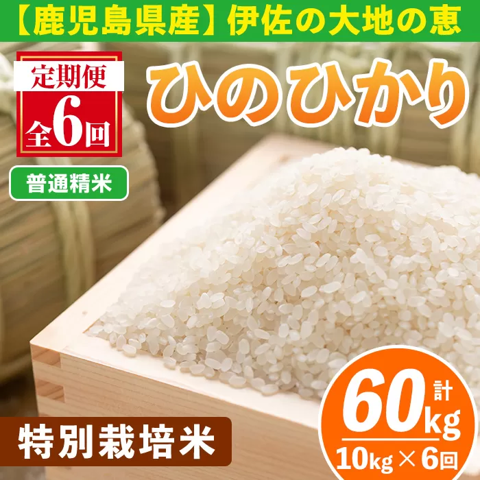 isa517-A 【定期便6回】 ＜普通精米＞令和7年産 鹿児島県伊佐産 特別栽培ひのひかり(計60kg・10kg×6ヵ月) 国産 白米 精米 伊佐米 お米 米 生産者 ひのひかり 定期便 【Farm-K】