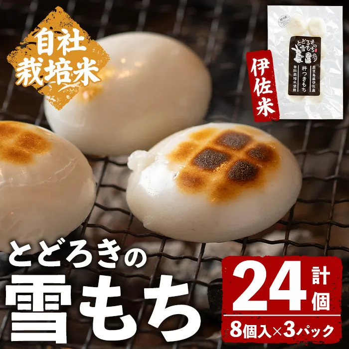 isa940 とどろきの雪もち(8個入×3P・計24個) 鹿児島県 伊佐市 もち 餅 丸もち 国産 保存食 玄米加工 ぜんざい お雑煮 焼き餅 真空パック 小分け 自社栽培米 伊佐米 杵つきもち 【グリーンネットワークとどろき】