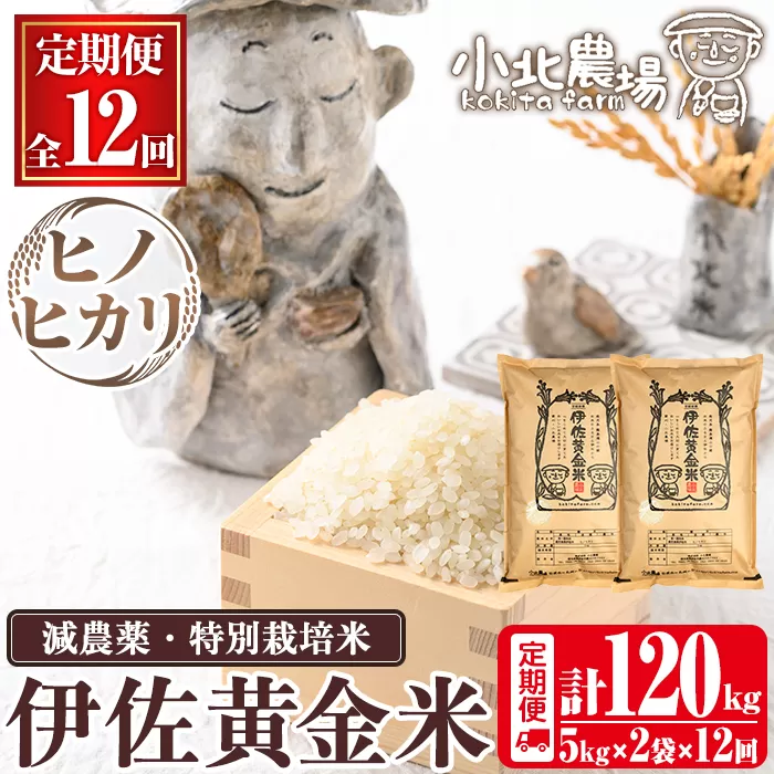 isa793 《数量限定・12回定期便》令和7年産 小北農場のお米 伊佐黄金米〈ヒノヒカリ〉(計120kg・5kg×2袋×12回) 鹿児島 伊佐 お米 120kg 定期便 12回 特別栽培米 伊佐米 白米 ヒノヒカリ ひのひかり おにぎり ごはん  【小北農場】