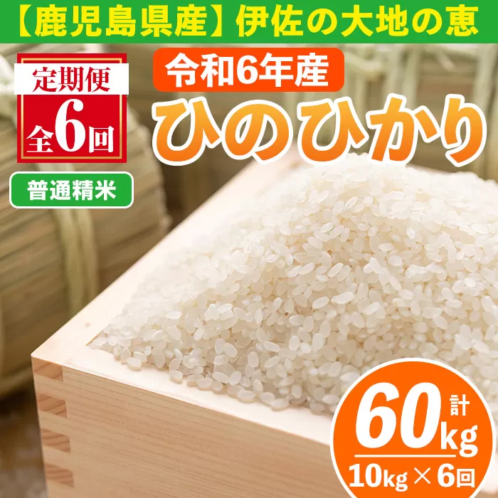 isa520-A 【定期便6回】 ＜普通精米＞令和6年産 鹿児島県伊佐南浦産ひのひかり (合計60kg・計10kg×6ヵ月) 国産 白米 精米 伊佐米 お米 米 生産者 定期便 ひのひかり 【Farm-K】