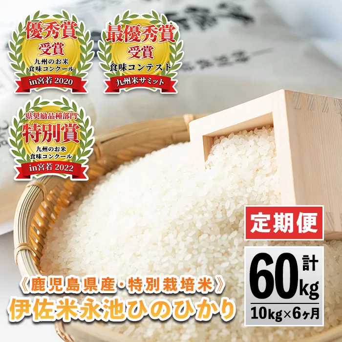 H4-01 【定期便】令和6年産 特別栽培米 伊佐米永池ひのひかり(計60kg・10kg×6ヶ月) 伊佐市 特産品 鹿児島 永池 お米 米 白米 精米 伊佐米 九州米サミット 食味コンテスト 最優秀賞受賞 ヒノヒカリ 定期便 【エコファーム永池】