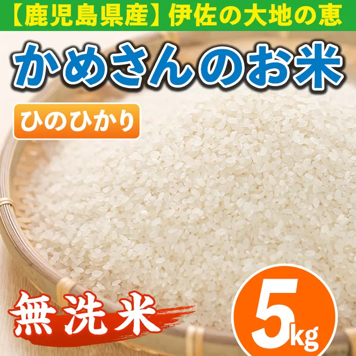 isa278 《数量限定》かめさんのお米(5kg・ひのひかり・無洗米) ふるさと納税 伊佐市 特産品 国産 白米 精米 無洗米 伊佐米 お米 米 生産者 【Farm-K】