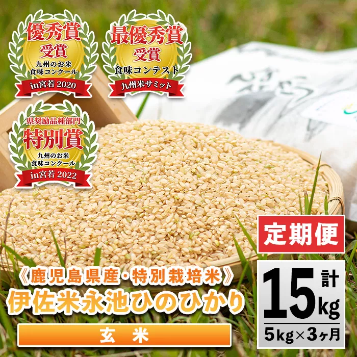 isa537 【定期便】令和6年産 特別栽培米 永池ひのひかり玄米(計15kg・5kg×3ヶ月) 鹿児島 永池 お米 米 玄米 伊佐米 九州米サミット 食味コンテスト 最優秀賞受賞 ヒノヒカリ 【エコファーム永池】