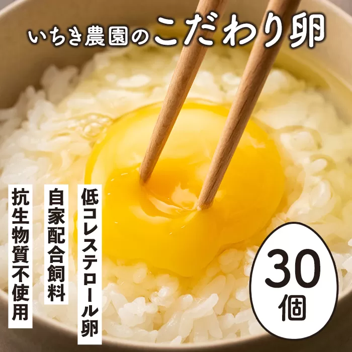 A0-07 いちき農園のこだわり卵(計30個・10個入り×3パック) 自然豊かな伊佐で育てた平飼い鶏の低コレステロール卵！抗生物質不使用！【いちき農園】