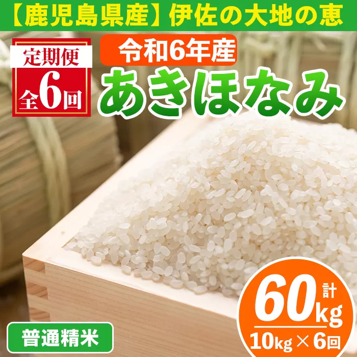 isa519-A 【定期便6回】 ＜普通精米＞令和6年産 鹿児島県伊佐産あきほなみ (合計60kg・計10kg×6ヵ月) 国産 白米 精米 伊佐米 お米 米 生産者 定期便 あきほなみ 【Farm-K】