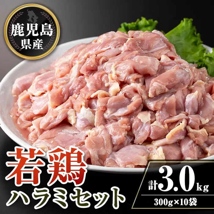 isa716 鹿児島県産若鶏ハラミセット(計3kg・300g×10P) 鹿児島県産 国産 鶏肉 鳥肉 とり肉 ハラミ 希少部位 炭火焼き 焼肉 BBQ 炒め料理 おつまみ 真空 小分け 【TRINITY】