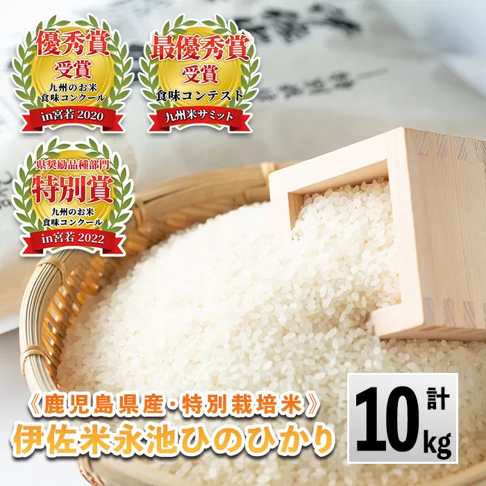 A4-06 令和6年産 特別栽培米 永池ひのひかり(計10kg・5kg×2袋) ふるさと納税 伊佐市 特産品 鹿児島 永池 お米 米 白米 精米 伊佐米 九州米サミット 食味コンテスト 最優秀賞受賞 ヒノヒカリ 【エコファーム永池】