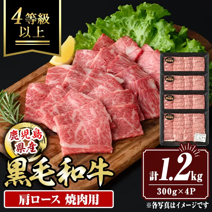 isa882 鹿児島県産黒毛和牛 肩ロース焼肉用(計1.2kg・300g×4P) 4等級以上！ 国産 牛肉 霜降り 国産 牛肉 霜降り 家庭用 冷凍 【サンキョーミート】