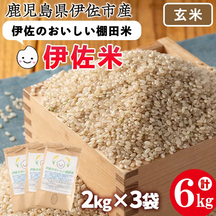 isa533 伊佐のおいしい棚田米〈玄米〉 ヒノヒカリ(計6kg・2kg×3袋)【薩摩美食倶楽部】