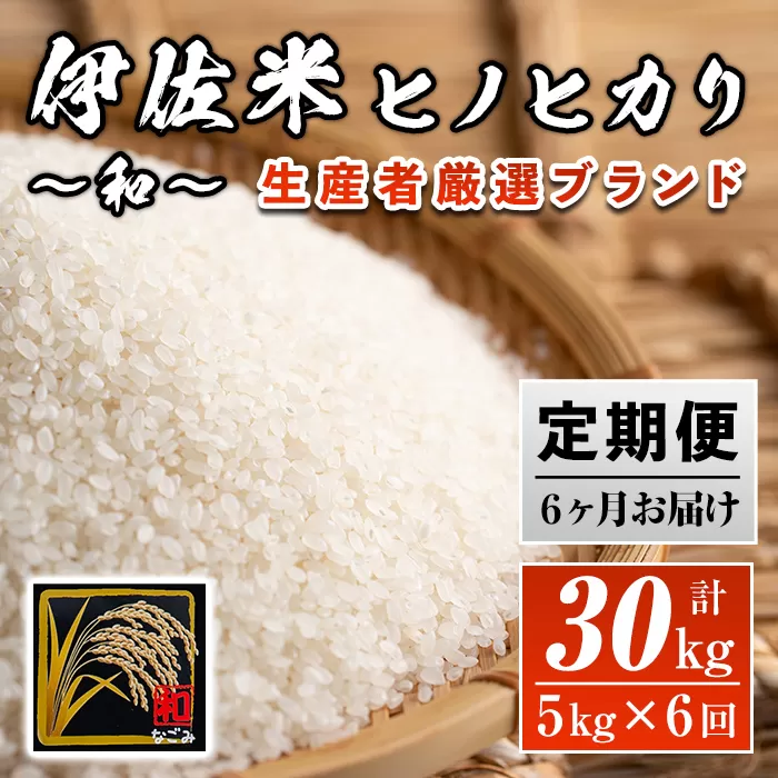 F4-01 【定期便】鹿児島県産！伊佐米ヒノヒカリ和〜なごみ〜(計30kg・5kg×6ヶ月) 生産者を厳選したブランド米【神薗商店】