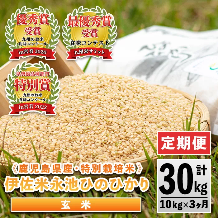 isa538 【定期便】令和6年産 特別栽培米 永池ひのひかり玄米(計30kg・10kg×3ヶ月) 鹿児島 永池 お米 米 玄米 伊佐米 九州米サミット 食味コンテスト 最優秀賞受賞 ヒノヒカリ 【エコファーム永池】