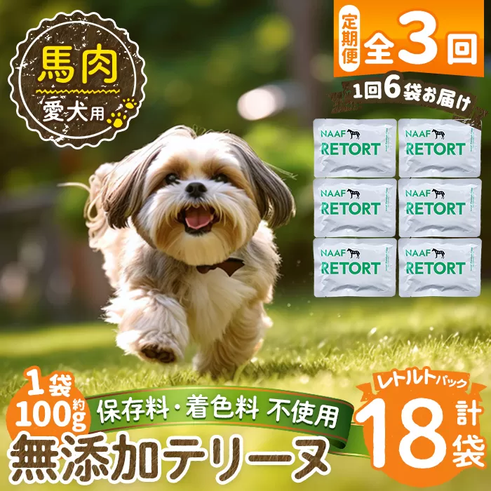 a1087-G 【3回定期便】<保存料・着色料 不使用>愛犬用無添加テリーヌ レトルトパック 馬テリーヌ6袋×3回(1袋約100g・合計約1.8kg)【Nフードサービス】姶良市 馬 テリーヌ 犬 ドッグ ペット フード エサ レトルト おやつ ごはん ご飯 間食 ご褒美