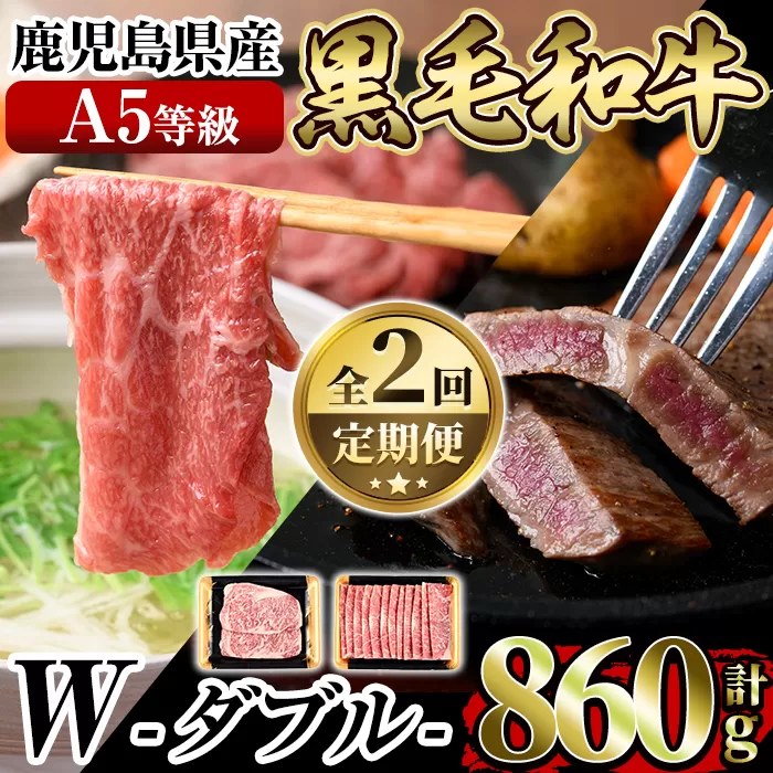 a898 《定期便全2回》A5等級！鹿児島県産黒毛和牛W(ダブル)ロースステーキ(180g×2枚)薄切りしゃぶしゃぶ・すきやき用(500g)【水迫畜産】姶良市 国産 鹿児島産 肉 牛肉 牛 ロース ステーキ しゃぶしゃぶ すき焼き 薄切り スライス 冷凍 肉定期便